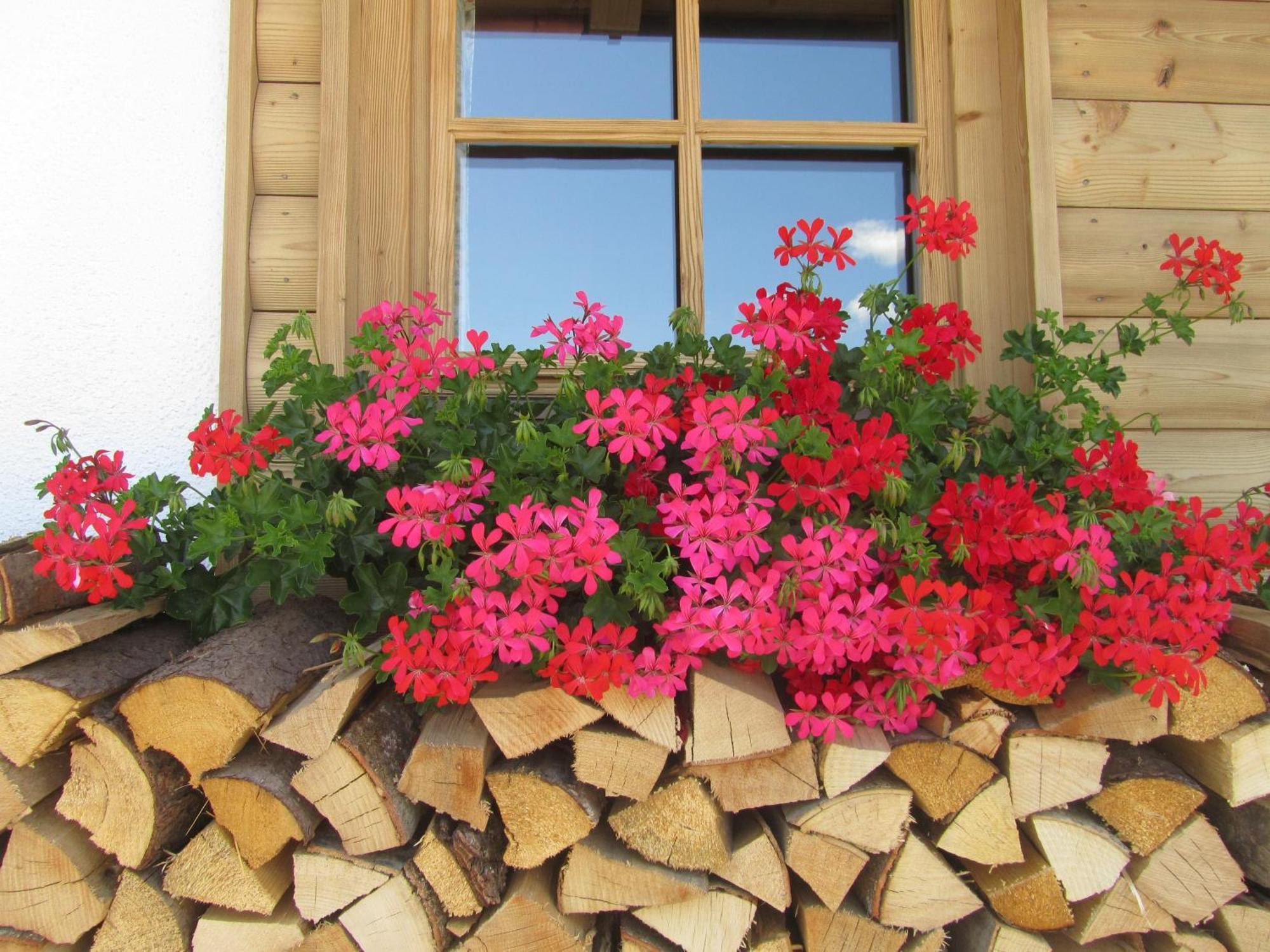 Hotel Garni Bavaria Ellmau Exterior photo