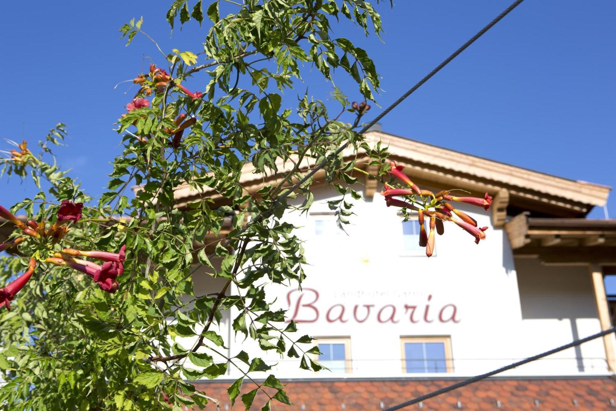 Hotel Garni Bavaria Ellmau Exterior photo